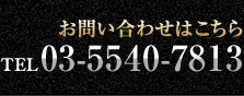 電話 0355407813
